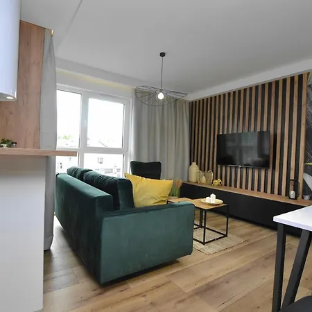 Apartament Krolowej Bony- Z Garazem Centrum Gliwic Gliwice Exterior photo