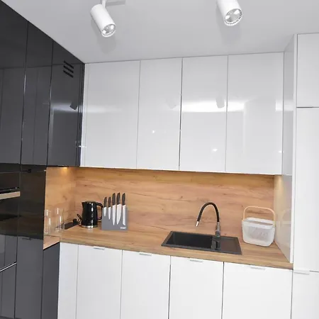 Apartament Krolowej Bony- Z Garazem Centrum Gliwic Gliwice Exterior photo